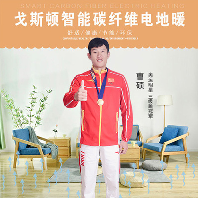 戈斯顿碳纤维发热线